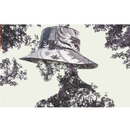 New Collection
