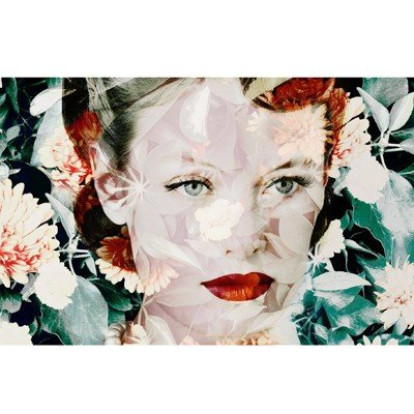 The Language of Flowers