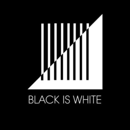 Black Is White Exhibition THE PULSE
