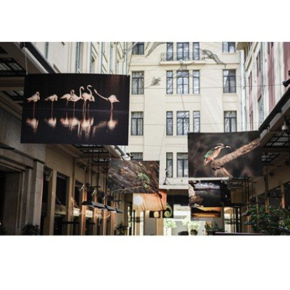  «Μια μέρα στη λιμνοθάλασσα»