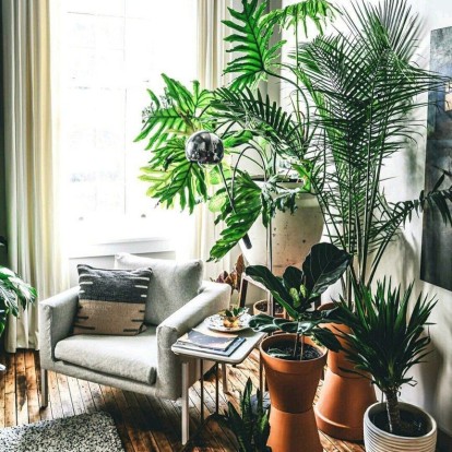 Πιο καθαρός αέρας στο σπίτι με 6 υπέροχα φυτά εσωτερικού χώρου