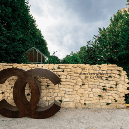 O οίκος Chanel προσκαλεί το κοινό του σε μια απρόσμενη ξενάγηση στον μαγικό κόσμο της καμέλιας