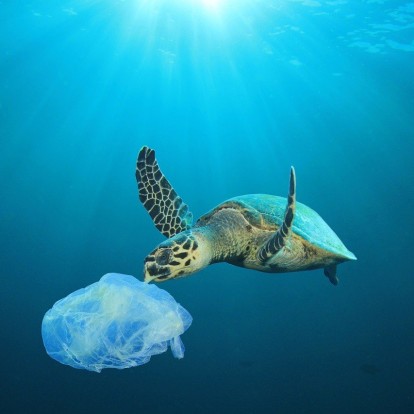 Μικροπλαστικά: Όσα πρέπει να γνωρίζετε για τα θραύσματα του πλαστικού και πώς να τα περιορίσετε