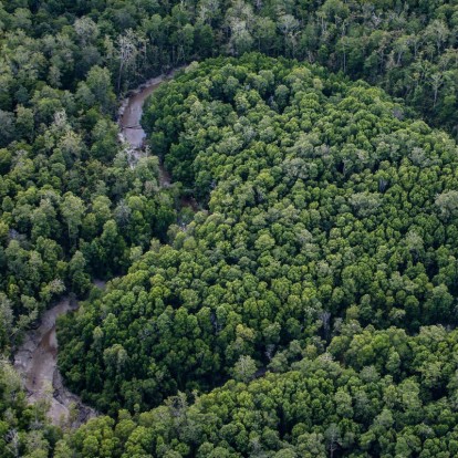 Με αφορμή την Παγκόσμια Ημέρα Περιβάλλοντος κάνουμε τη ζωή μας πιο οικολογική με 5 απλά βήματα 
