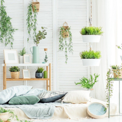 Green Power: 5+1 αναρριχώμενα φυτά που θα λειτουργήσουν ως διακοσμητικά της κατοικίας σας 