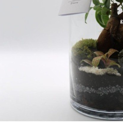 SKG Stories: H πόλη μέσα από τα μάτια της Ειρήνης Μαλασίδου 