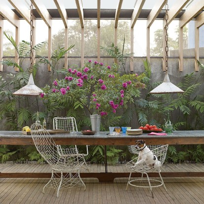 Houseplant care: Τα πιο συχνά λάθη που πρέπει να αποφύγετε για υγιή φυτά 