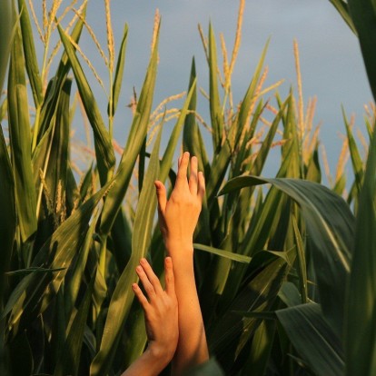 Δυσκολεύεστε να υιοθετήσετε μία eco-friendly καθημερινότητα; Με αυτές τις συνήθειες θα τα καταφέρετε 