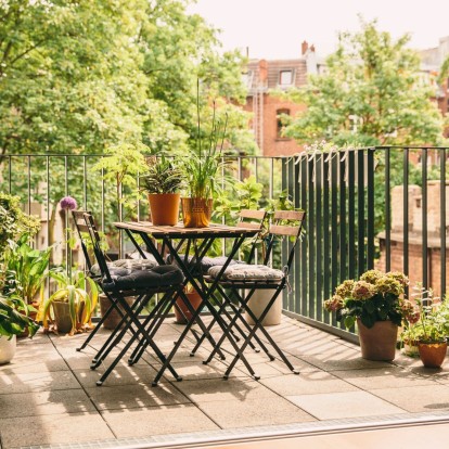 Outdoor plants: Τα αναρριχώμενα φυτά που θα χαρίσουν ανοιξιάτικη πνοή στο μπαλκόνι σας