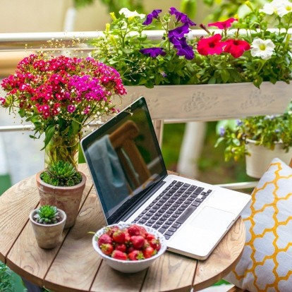 Outdoor Decoration: Τα φυτά που θα δώσουν νέα πνοή στις βεράντες μας 