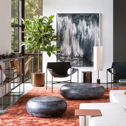 Houseplants: 5+1 φυτά εσωτερικού χώρου που επιβιώνουν στην σκιά