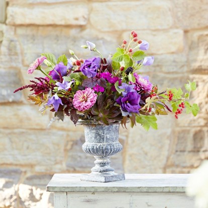 Green power: Τα πιο ανθεκτικά φυτά και λουλούδια που αντέχουν ακόμα και στον καύσωνα