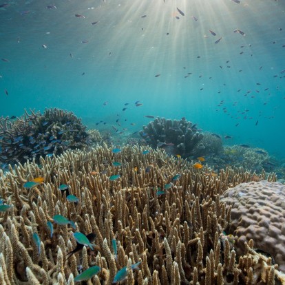 Travel Mode On: Τα καλύτερα ταξιδιωτικά ντοκιμαντέρ στο Netflix για να παρακολουθήσετε τώρα