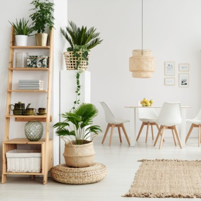 5+1 φυτά που συμβάλλουν στη μείωση του στρες της καθημερινότητας