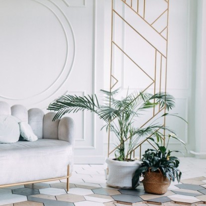 Τα φυτά που θα φέρουν τύχη κι ευημερία στην κατοικία σας σύμφωνα με το Feng Shui