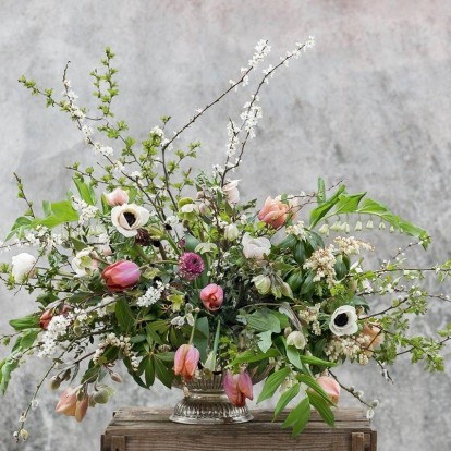 Garden Experts: Πώς να περιποιηθείτε σωστά τα φυτά σας το φθινόπωρο