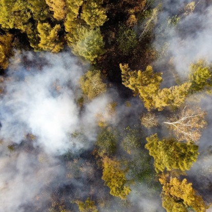 Καυτός αέρας, δακρυσμένα μάτια, δυσκολία στην αναπνοή: Πώς θα είναι ο πλανήτης το 2050 
