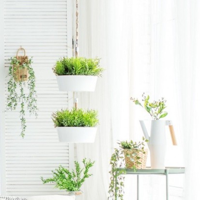 Πώς να διαλέξετε τα ιδανικά houseplants σύμφωνα με έναν garden expert