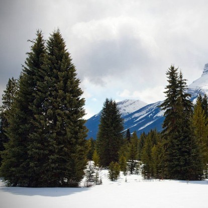 Green Christmas: 4+1 tips για τις πιο sustainable holidays ever!