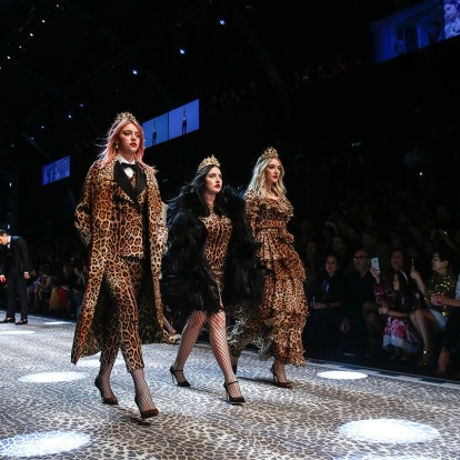 The Wild Side of FW 2017 runway shows