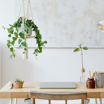 Stars & Plants: Τα φυτά για να εντάξετε στην κατοικία σας ανάλογα με το ζώδιό σας