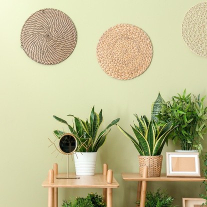 6 key-skills για να περιποιηθείτε σωστά τα φυτά του σπιτιού σας