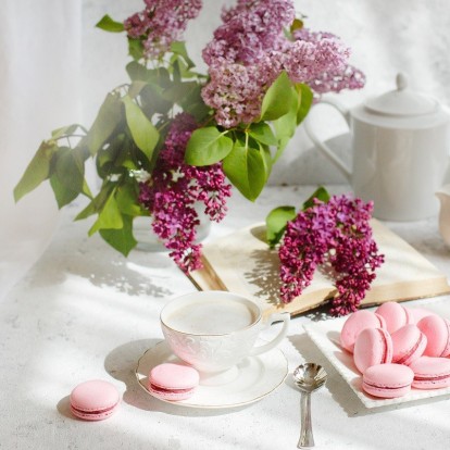 Plant Combos: Οι καλύτεροι συνδυασμοί φυτών για την κατοικία σας