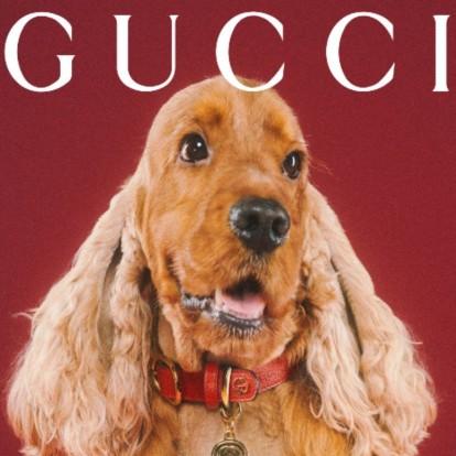 Η νέα pet collection του οίκου Gucci απαρτίζεται απ' ό,τι πιο πολυτελές θα θέλαμε για τα κατοικίδιά μας