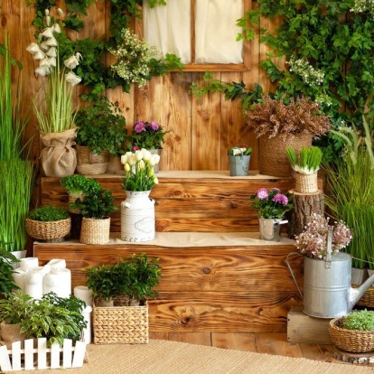 Πώς να βοηθήσετε τα φυτά σας να επιβιώσουν στον καύσωνα