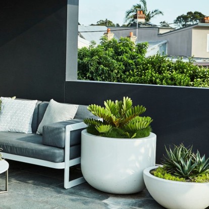 Κάκτοι & Παχύφυτα: Οι πιο εντυπωσιακές επιλογές για το μπαλκόνι ή τον κήπο σας