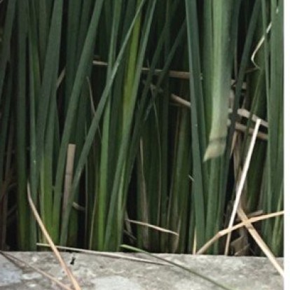 The Talks: Με τη Δανάη Κινδελή